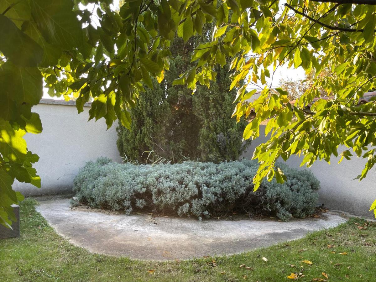 Studio Les Petits Lutins Entraigues-sur-la-Sorgue المظهر الخارجي الصورة